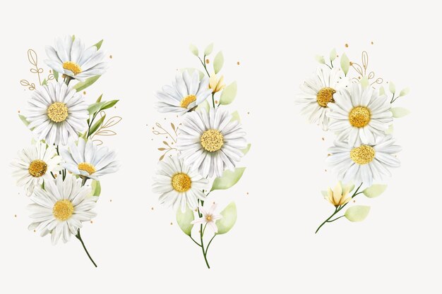 hand drawn daisy floral bouquet background design