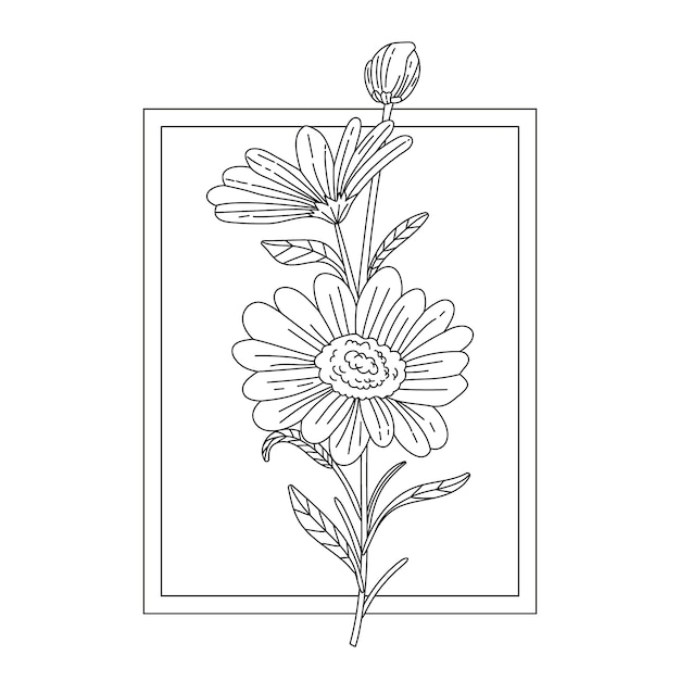 Бесплатное векторное изображение Нарисованная рукой иллюстрация контура маргаритки