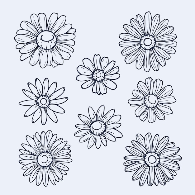 Free vector hand drawn daisy outline illustration