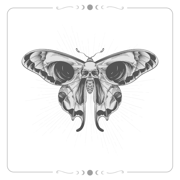 Free vector hand drawn death moth drawing illustration