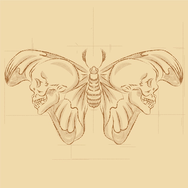 Hand drawn death moth drawing illustration