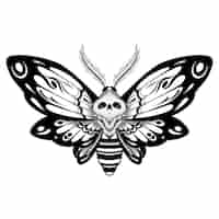 Free vector hand drawn death moth drawing illustration