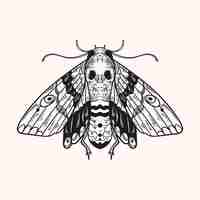 Free vector hand drawn death moth drawing illustration