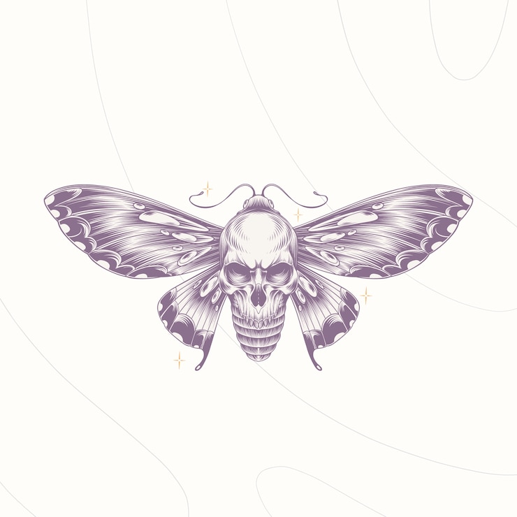 Free Vector hand drawn death moth drawing illustration