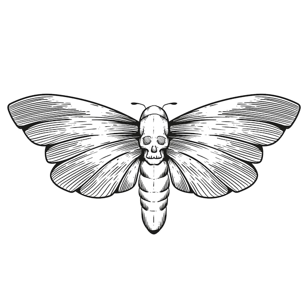 Hand drawn death moth illustration â Vector Templates