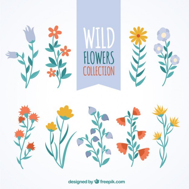 Hand drawn decorative wild flowers