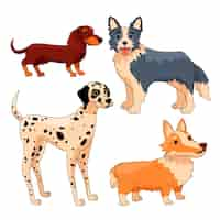 Free vector hand drawn dog breeds collection