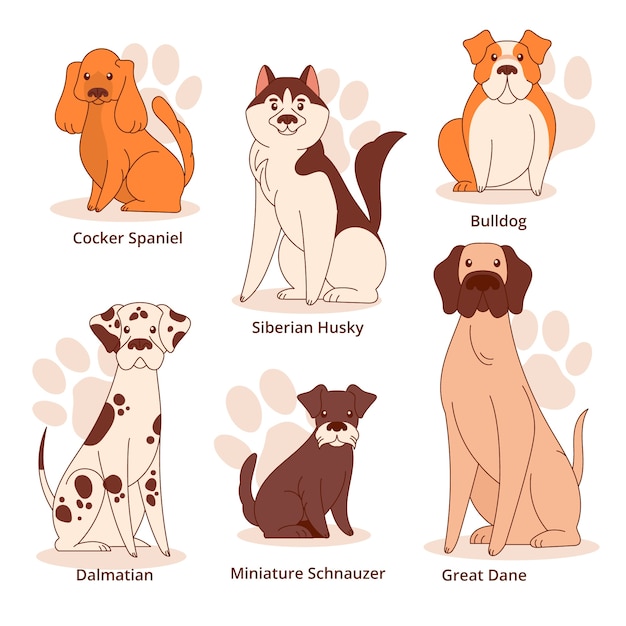 Vettore gratuito collezione di elementi di razze di cani disegnati a mano