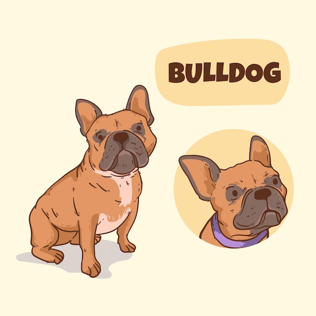 Hand drawn dog breeds illustration