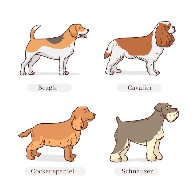 Hand drawn dog breeds illustration