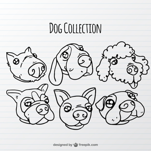 Free Vector hand-drawn dog collection