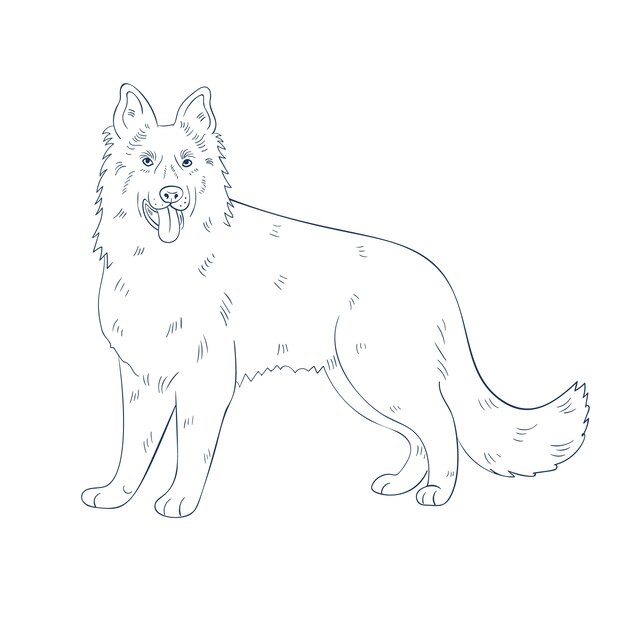 Hand drawn dog outline illustration