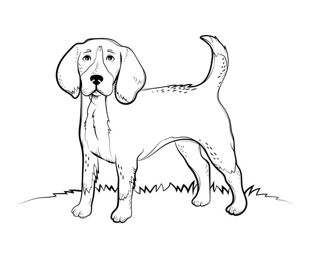 Hand drawn dog outline illustration