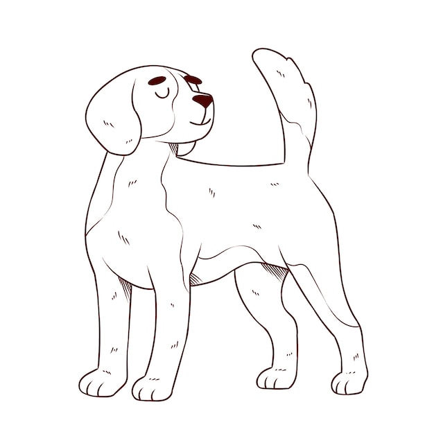 Hand drawn dog outline illustration