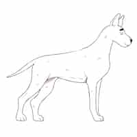 Free vector hand drawn dog outline illustration
