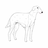 Free vector hand drawn dog outline illustration