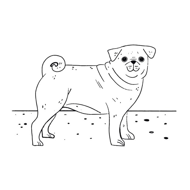 Hand drawn dog, outline illustration