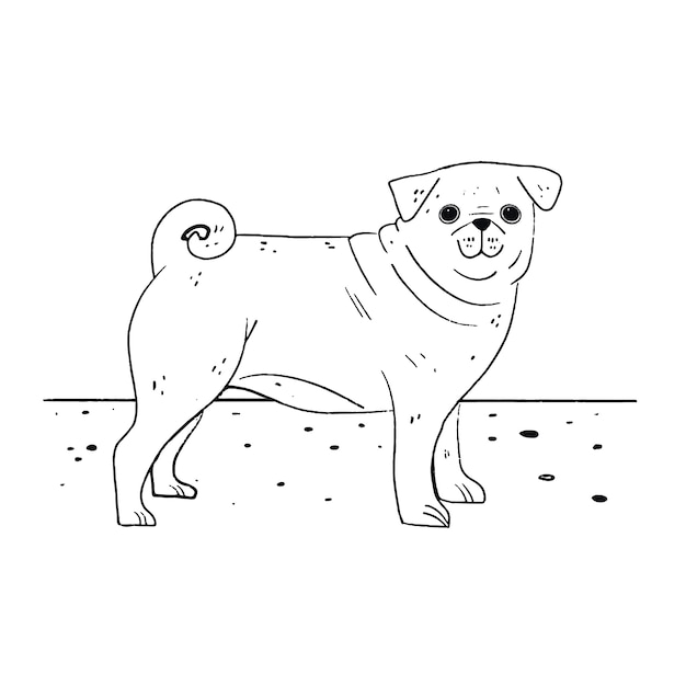 Hand drawn dog, outline illustration