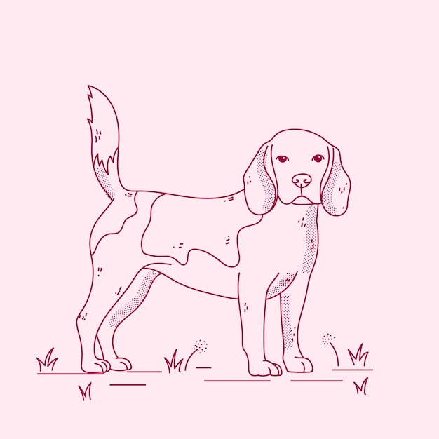 手描き犬の概要図