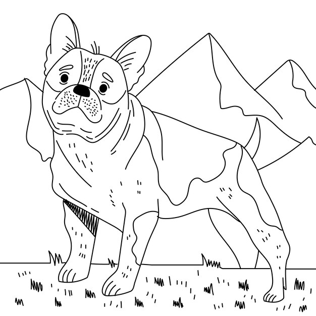 手描き犬の概要図