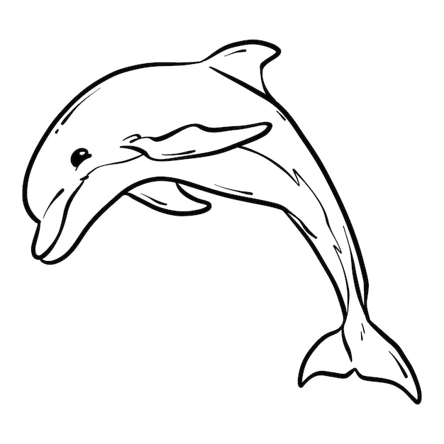Vettore gratuito illustrazione del profilo del delfino disegnato a mano