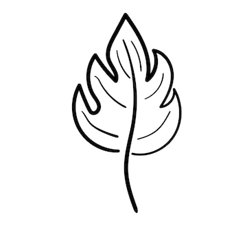 손으로 그린 낙서 잎. 라인 팜 리프 아이콘입니다. 흑백 식물 가지를 스케치합니다. 벡터 라인 아트