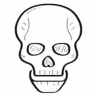 Free vector hand drawn doodle skull