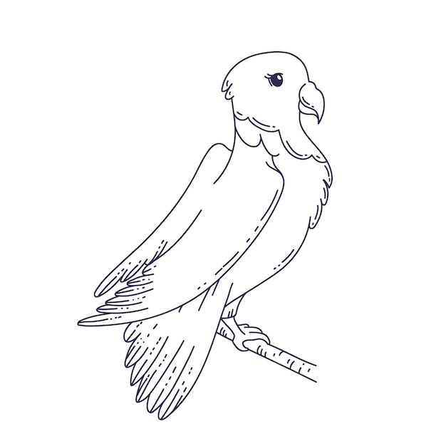 Free vector hand drawn dove outline illustration