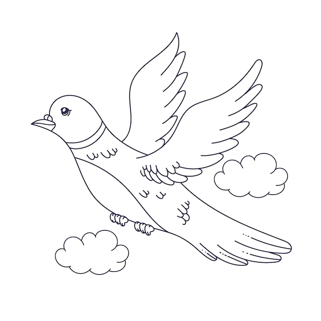 손으로 그린 비둘기 개요 그림