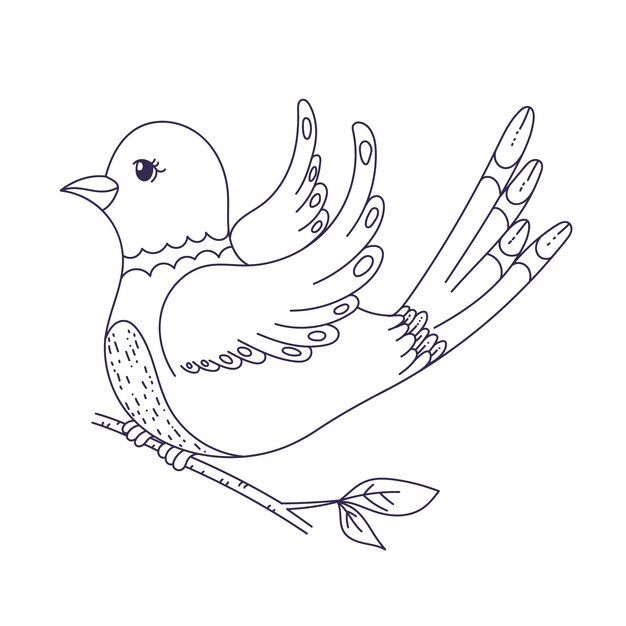 Hand drawn dove outline illustration