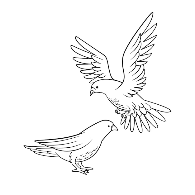 Нарисованная рукой иллюстрация контура голубя