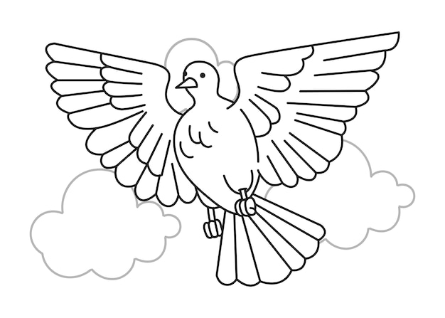 Hand drawn dove outline illustration