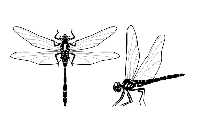 Vector Templates: Hand Drawn Dragonfly Silhouette – Free Download