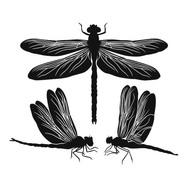 Free vector hand drawn dragonfly silhouette