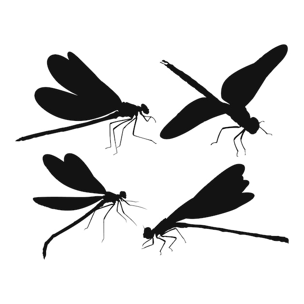 Hand drawn dragonfly silhouette