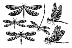 Free vector hand drawn dragonfly silhouette