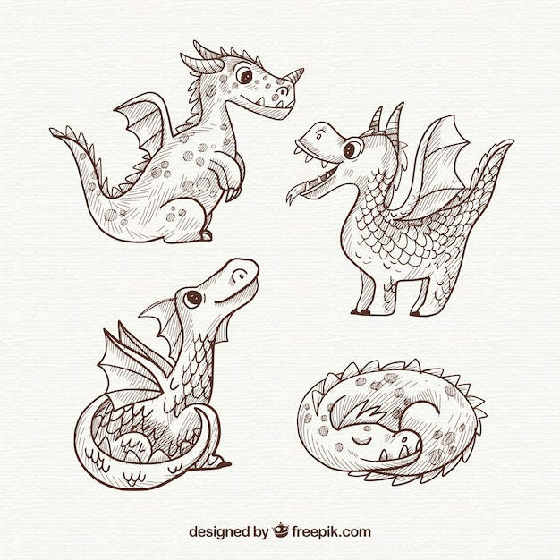 Free vector hand drawn dragons with lovely style