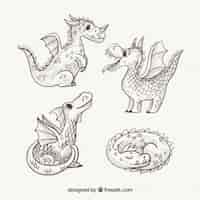 Free vector hand drawn dragons with lovely style