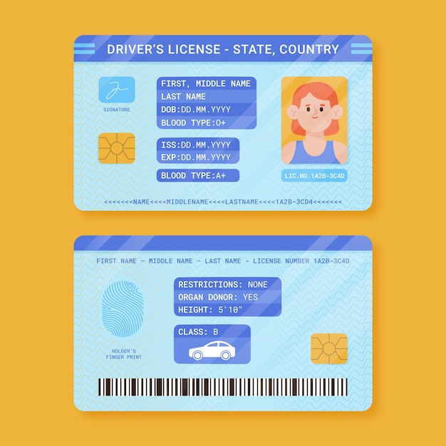 Free vector hand drawn driving license template
