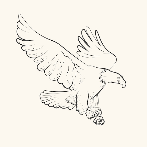 Vettore gratuito illustrazione del disegno volante dell'aquila disegnata a mano