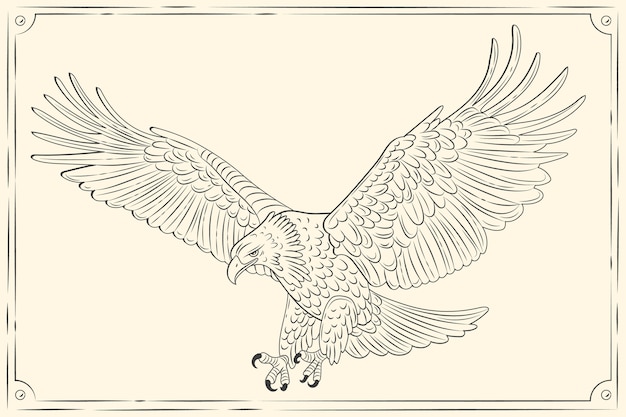 Illustrazione del disegno volante dell'aquila disegnata a mano