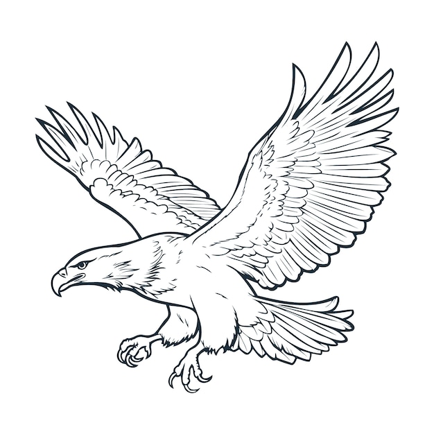 Hand drawn eagle  flying drawing illustration