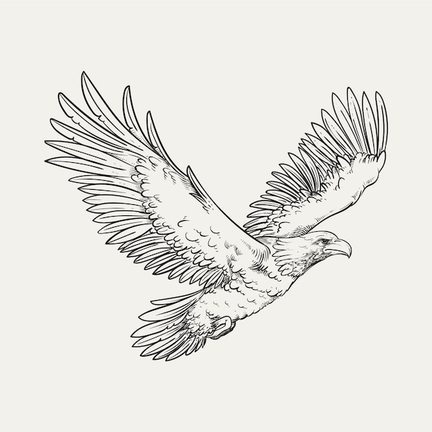 Бесплатное векторное изображение Иллюстрация рисунка орла, летящего вручную