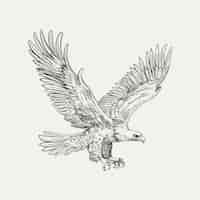 Бесплатное векторное изображение Иллюстрация рисунка орла, летящего вручную