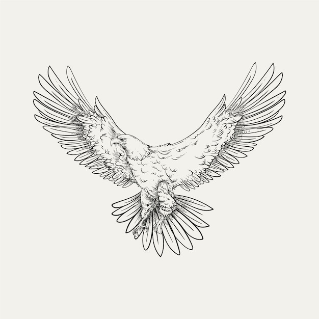 手描きの鷹が飛ぶ絵のイラスト