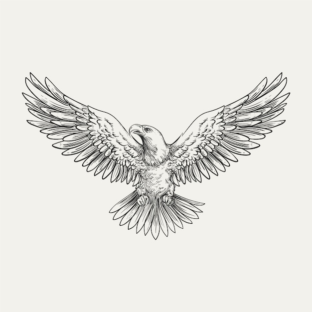 手描きの鷹の飛行 絵画 イラスト