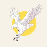 Free vector hand drawn eagle flying drawing illustration