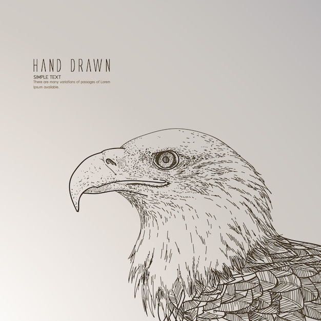 Hand drawn eagle