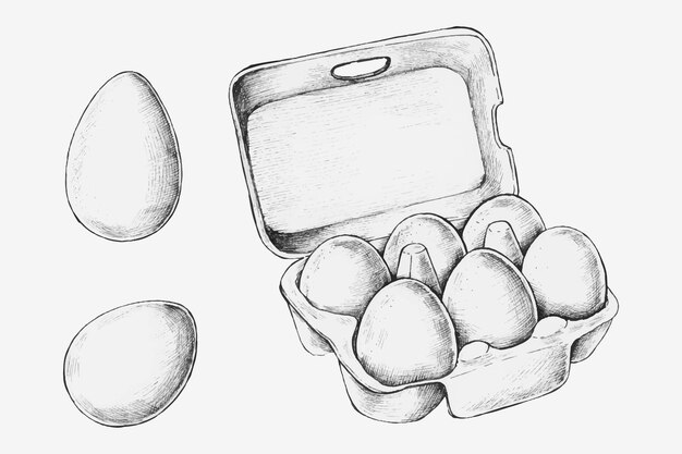 Hand-drawn egg box