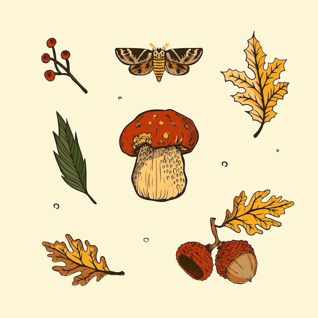 Free vector hand drawn elements collection for autumn celebration